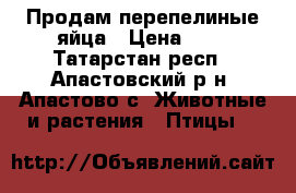 Продам перепелиные яйца › Цена ­ 3 - Татарстан респ., Апастовский р-н, Апастово с. Животные и растения » Птицы   
